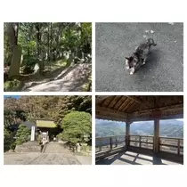 白咲 澪