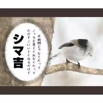 ひな