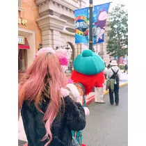 姫花