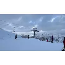 ぽぽ