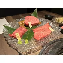 桜乃 咲美