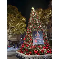 のぞみ