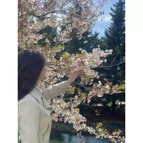三鷹 真綺
