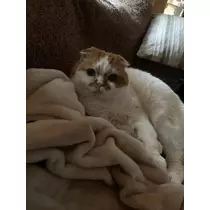 れみ