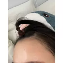はるか