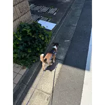 さな