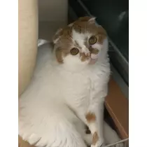 れみ