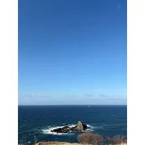 佐野 エマ