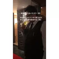 小川 真央