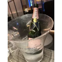 白石 愛莉