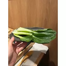 緑 四葉