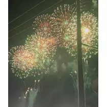 サヤ