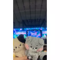 ティラノまな