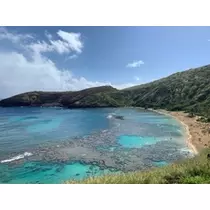しゅり