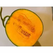咲良 水月