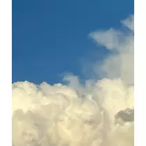 黒川 すみれ