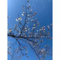 ゆう