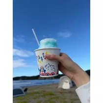 神崎 蘭