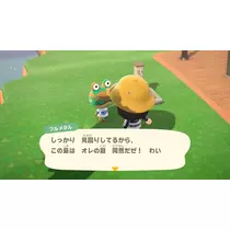 ゆき