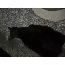 らら