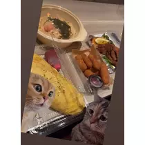 七星 夏純