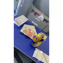 佐倉 里緒