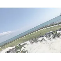 真帆.