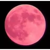 美穂