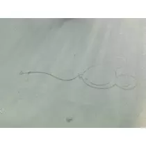 あおい