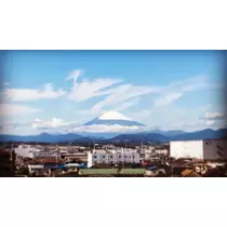 ひな