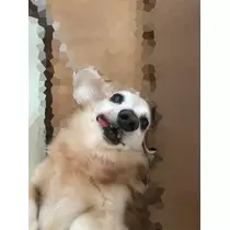 ティナ
