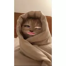ひめち