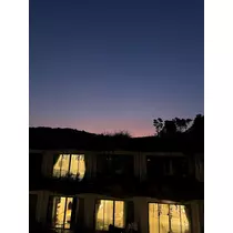 せいか