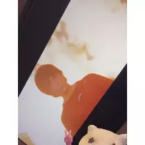七星 夏純