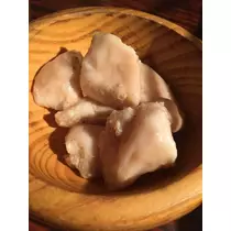 白石 愛莉