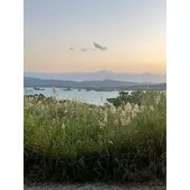 ねお