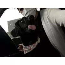 りえ
