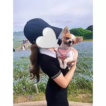 かりな