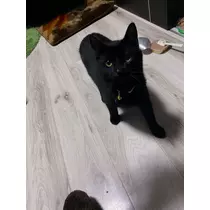 響