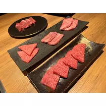 桜乃 咲美