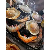 あおい