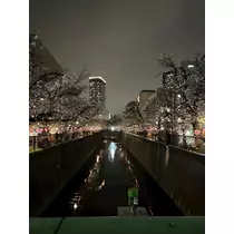 ユキ