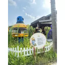 ユズ
