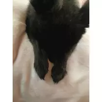 ティナ