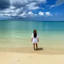 芹奈