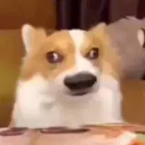 はるせ