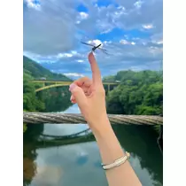スズ