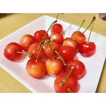 ひな