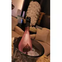 紫音