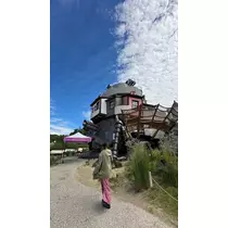 ティラノ リサ
